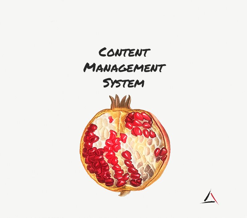How to choose a content management system for business